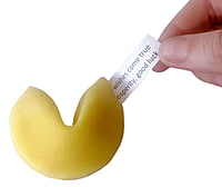 Super Squishy Fortune Cookie with Hideen Message Super Squishy Fortune Cookie with Hideen Message